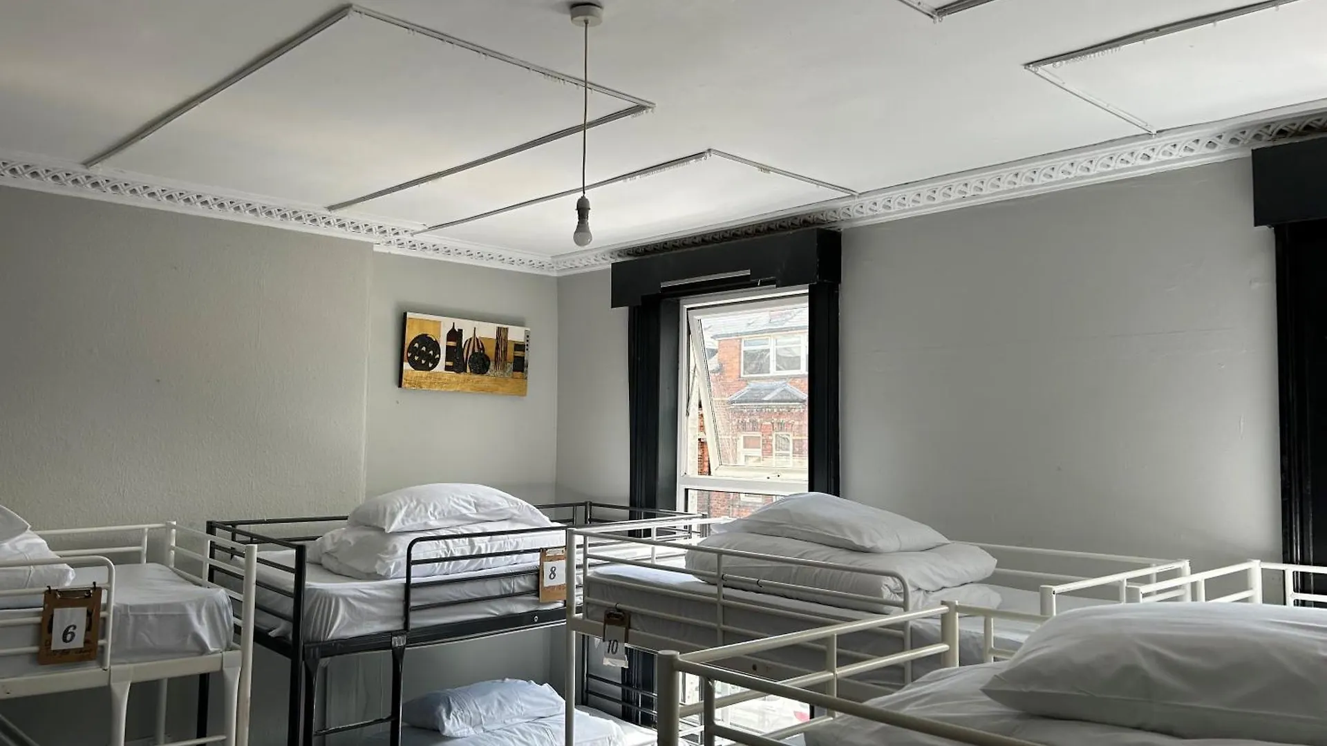 بيت شباب Lagan Backpackers بلفاست المملكة المتحدة